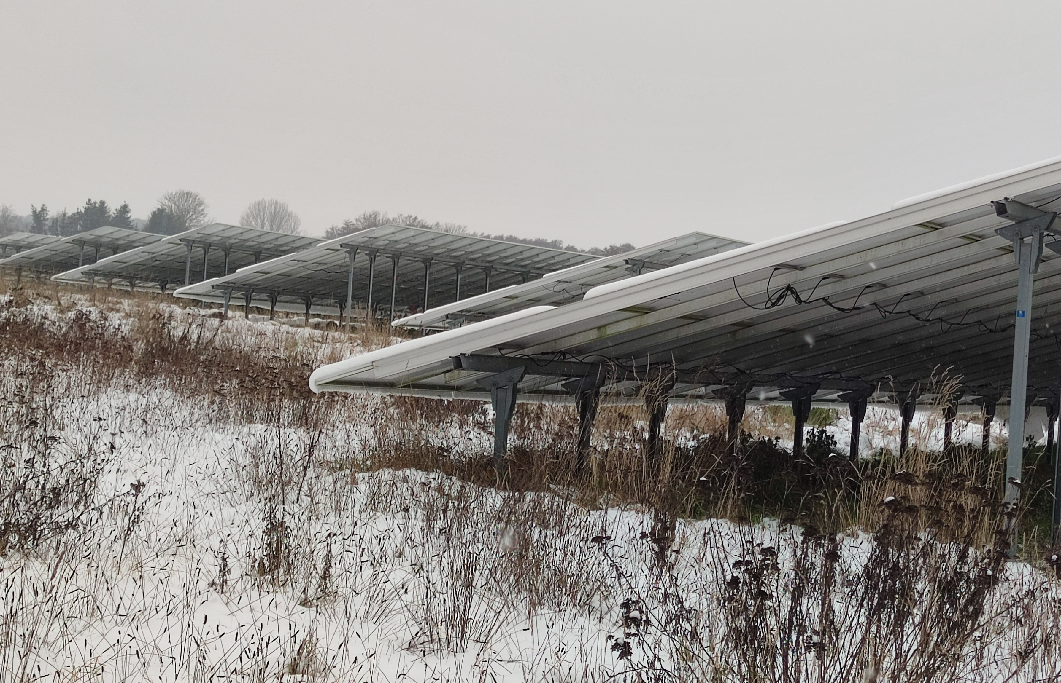 Solarpark im Schnee